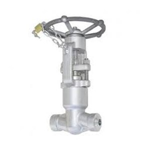ASTM A182 F316 Globe Valves, API 602, 3/4 IN, 2500 LB, PSB, BW
