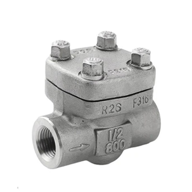 ASTM A182 F316 Piston Check Valve, API 602, 1/2 Inch, 800 LB