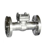 ASTM A182 F316 Piston Check Valves, API 602, 1-1/2 IN, CL800, RF