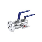 ASTM A182 F316L DBB Ball Valve, API 6D, RF*FNPT, Customized