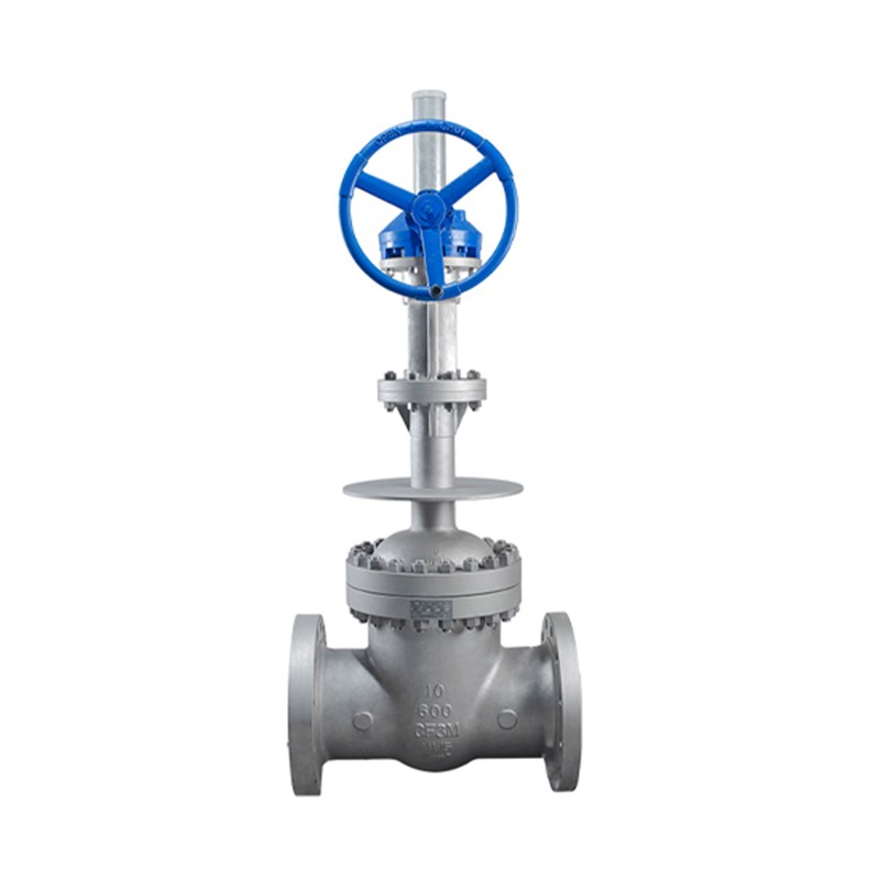 ASTM A351 CF3M Cryogenic Gate Valve, API 600, 10 Inch, CL600