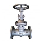 ASTM A351 CF3M Wedge Gate Valve, DIN 3352, DN100, PN40, RF