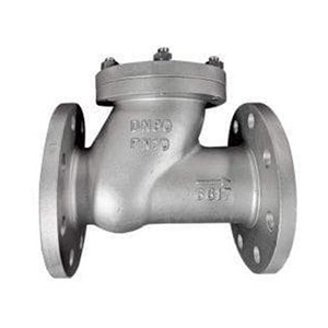 ASTM A351 CF8 Ball Check Valve, DN80, PN16, 4 IN, CL150, RF