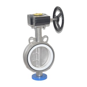ASTM A351 CF8 Butterfly Valve, API 609, 2 Inch, CL150, Wafer
