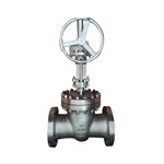 ASTM A351 CF8M Wedge Gate Valve, API 600, 10 Inch, CL600, RF