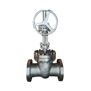 ASTM A351 CF8M Wedge Gate Valve, API 600, 10 Inch, CL600, RF