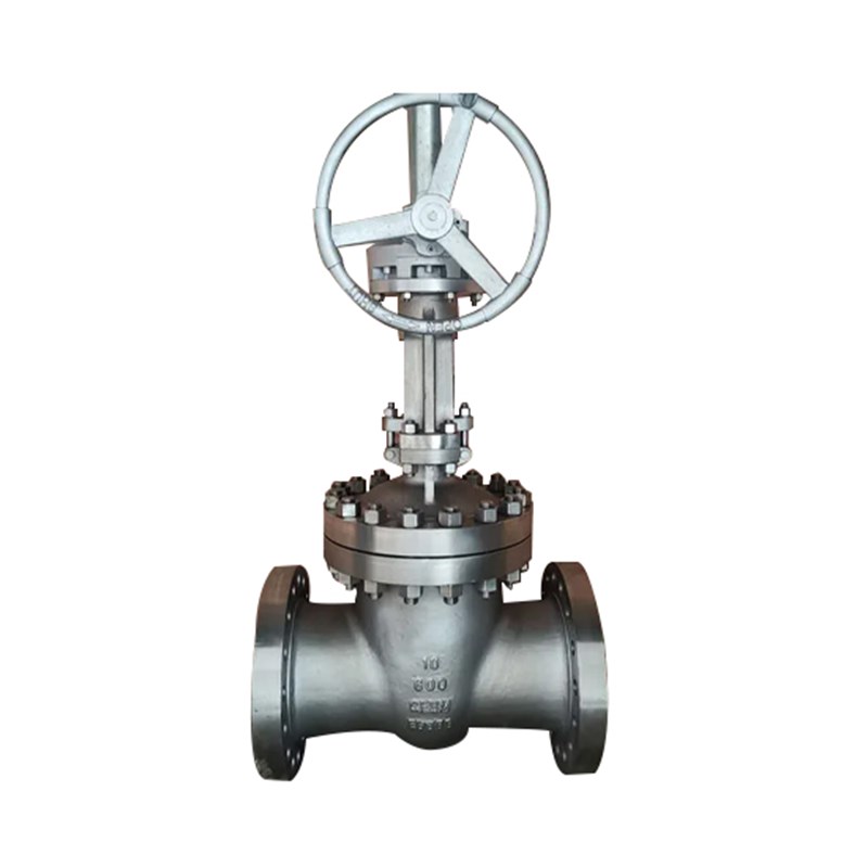 ASTM A351 CF8M Wedge Gate Valve, API 600, 10 Inch, CL600, RF