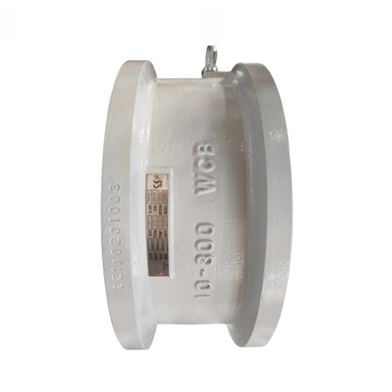 ASTM A352 LCC Wafer Check Valve, API 594, 10 Inch, CL300, RF