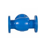 Axial Flow Non-slam Check Valve, ASTM A352 LCC, 6 IN, 300 LB