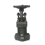 Bellows Seal Gate Valve, API 602, ASTM A105N, DN25, PN40