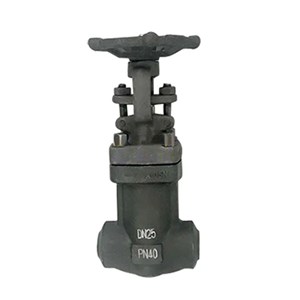 Bellows Seal Gate Valve, API 602, ASTM A105N, DN25, PN40