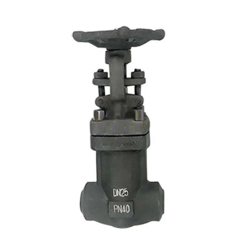 Bellows Seal Gate Valve, API 602, ASTM A105N, DN25, PN40
