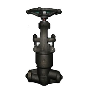 Bellows Sealed Gate Valve, API 602, A105N, 2500WOG, SW