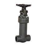 Bellows Sealed Gate Valves, API 602, A105N, 1 IN, 800 LB, SW