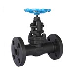 Bolted Bonnet Gate Valve, API 602, A105N, 1 Inch, CL300, RF
