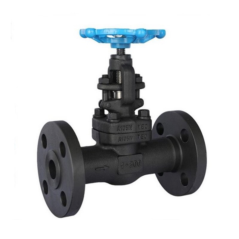 Bolted Bonnet Gate Valve, API 602, A105N, 1 Inch, CL300, RF