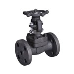 Bolted Bonnet Gate Valves, API 602, ASTM A105N, 1 IN, CL300