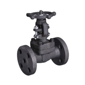 Bolted Bonnet Gate Valves, API 602, ASTM A105N, 1 IN, CL300