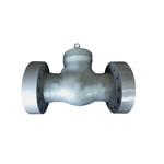 BS 1868 Swing Check Valves, A216 WCB, DN200, PN420, PSB, RTJ