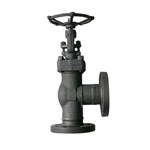 Carbon Steel Angle Globe Valve, API 602, A105N, RTJ, Custom