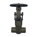 Carbon Steel ASTM A105N Gate Valve, API 602, 2 Inch, 2500 LB