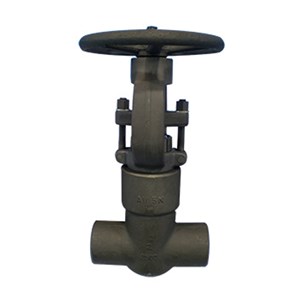 Carbon Steel ASTM A105N Gate Valve, API 602, 2 Inch, 2500 LB