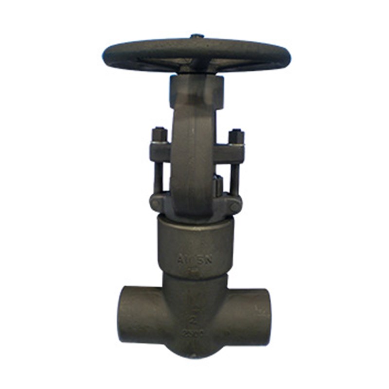 Carbon Steel ASTM A105N Gate Valve, API 602, 2 Inch, 2500 LB