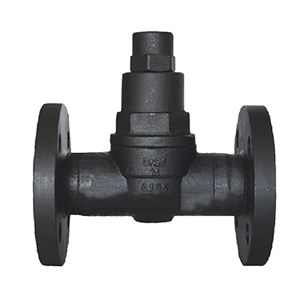 Carbon Steel Bimetallic Steam Trap, EN 26704, ASTM A105, DN15