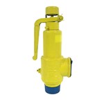 Carbon Steel Safety Valve, API 526, ASTM A216 WCB, DN50, PN40
