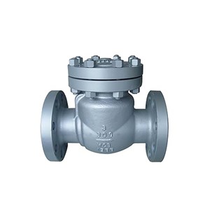 Carbon Steel Swing Check Valve, API 6D, WCB, 3 IN, CL300, RF