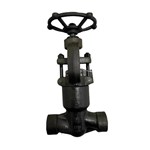 Class 1700 LB Globe Valve, API 602, A105N, 1-1/2 IN, PSB, SW