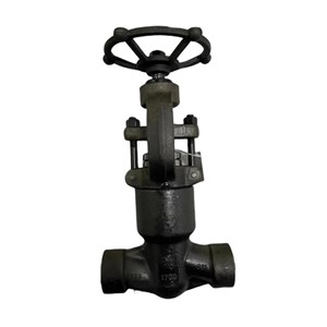 Class 1700 LB Globe Valve, API 602, A105N, 1-1/2 IN, PSB, SW