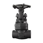 Class 800 LB Gate Valve, API 602, ASTM A105N, 1 IN, DN25, SW
