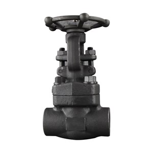 Class 800 LB Gate Valve, API 602, ASTM A105N, 1 IN, DN25, SW