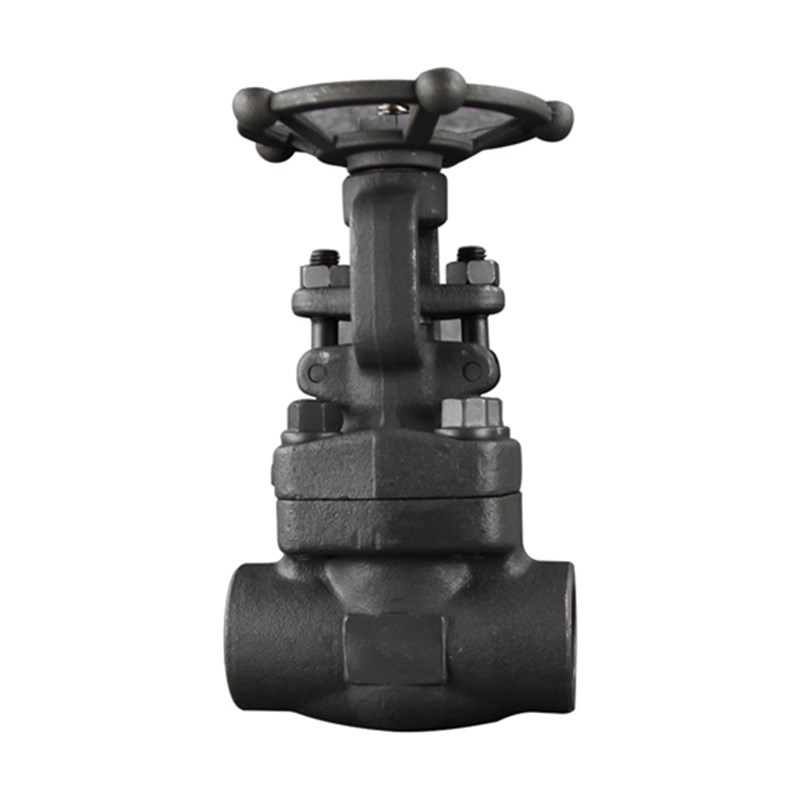 Class 800 LB Gate Valve, API 602, ASTM A105N, 1 IN, DN25, SW