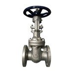 Cryogenic Gate Valve, API 602, ASTM A182 F304, 2 IN, CL150