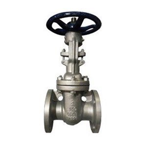 Cryogenic Gate Valve, API 602, ASTM A182 F304, 2 IN, CL150