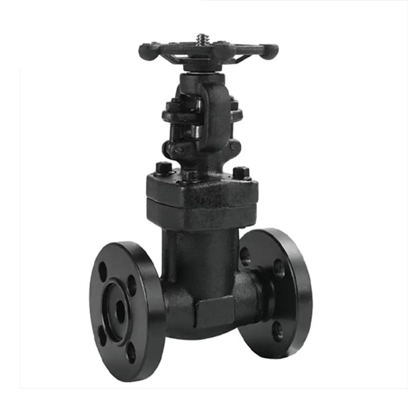 Custom Bellows Sealed Gate Valve, API 602, A105N, Handwheel