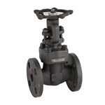 Custom Forged Gate Valve, API 602, ASTM A105N, Bolted Bonnet