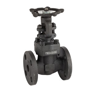 Custom Forged Gate Valve, API 602, ASTM A105N, Bolted Bonnet