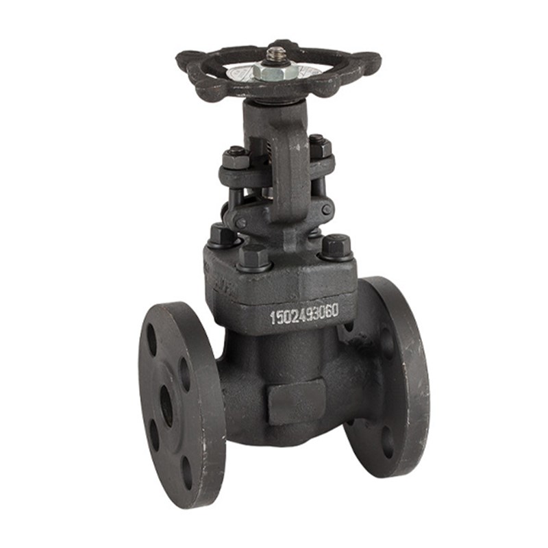 Custom Forged Gate Valve, API 602, ASTM A105N, Bolted Bonnet