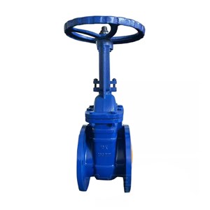 DIN 3352 F4 Wedge Gate Valves, ASTM A216 WCB, PN16, RF, OS&Y