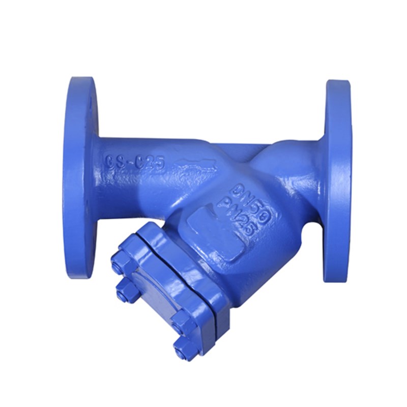DIN 3352 Y Type Strainers, GS-C25, SS 304 Screen, DN50, PN25