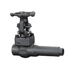 Extended Body Gate Valve, API 602, ASTM A105N, 1 Inch, CL800