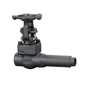 Extended Body Gate Valve, API 602, ASTM A105N, 1 Inch, CL800