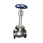 Extended Bonnet Globe Valves, ASME B16.34, CF8, 6 IN, 150 LB