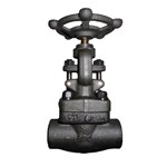 Forged ASTM A105N Globe Valve, API 602, 3/4 IN, CL800, SW Ends