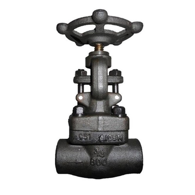 Forged ASTM A105N Globe Valve, API 602, 3/4 IN, CL800, SW Ends