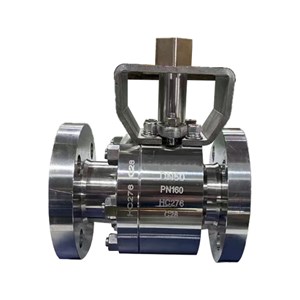 HC276 Floating Ball Valve, Hastelloy C276, DN50, PN160