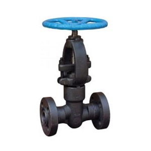 Integral Flanged Globe Valve, API 602, A105N, 3/4 IN, CL2500